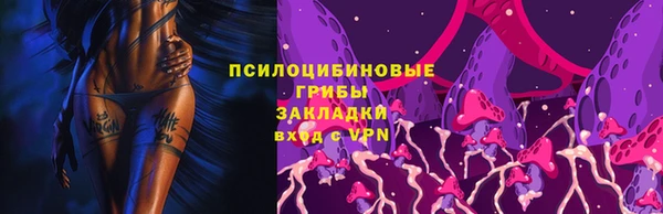 МДМА Богородицк