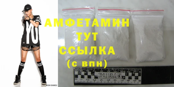 сатива Инта