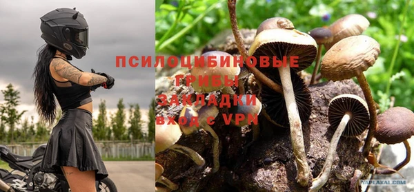 каннабис Богданович